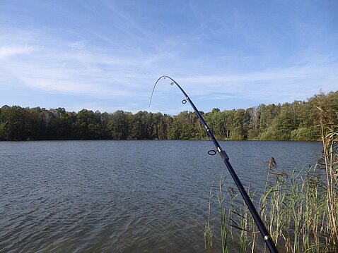 Angelrute am See
